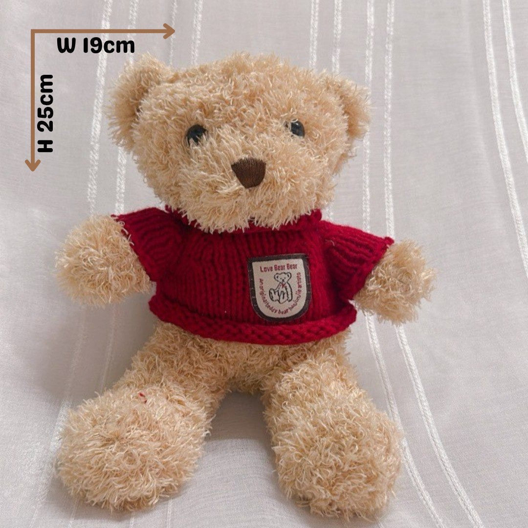 Red Sweater Teddy Bear
