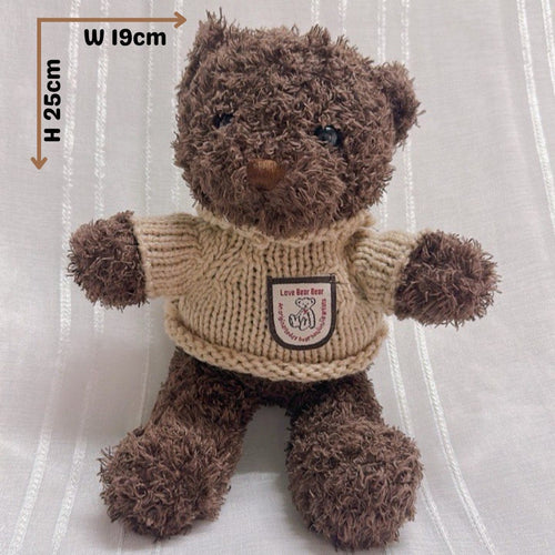 Brown Sweater Teddy Bear