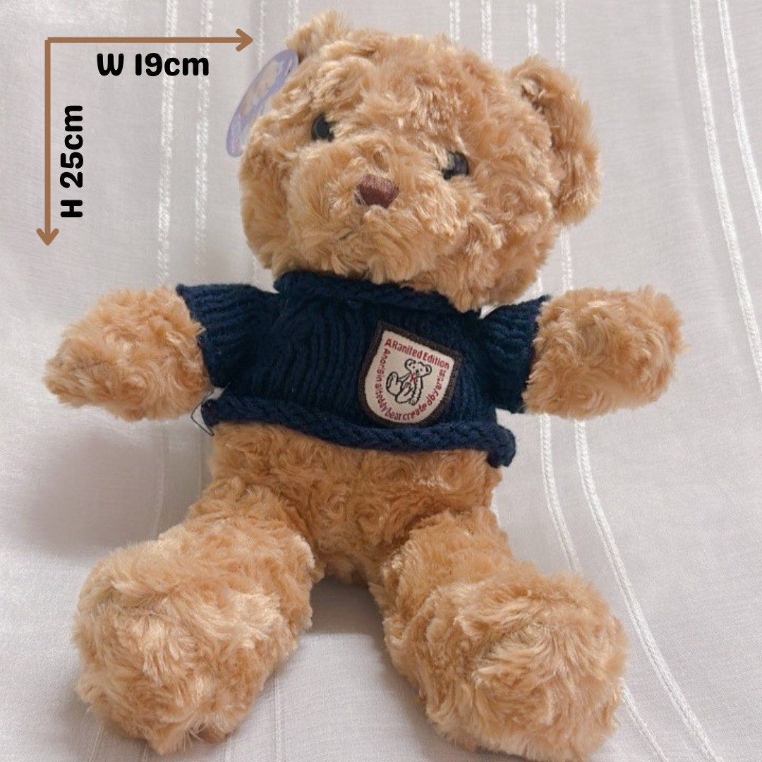 Navy Sweater Teddy Bear