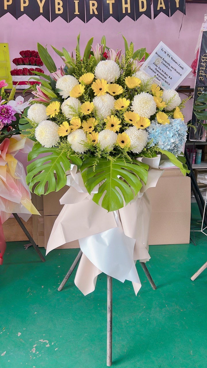 Sunlit Tribute Stand