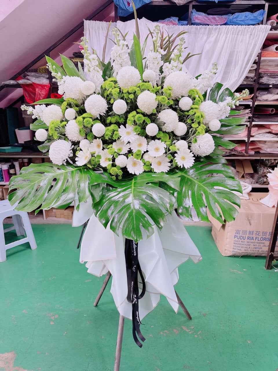 Serenity in White & Green