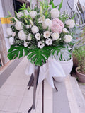 Graceful Tribute