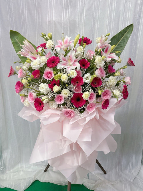 Blush Harmony Grand Opening Stand(3pics)