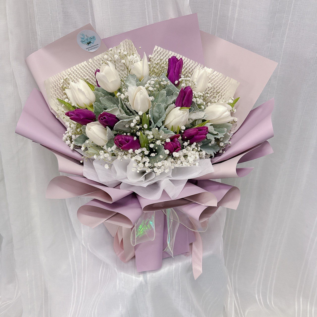 White & Purple Tulip Grace