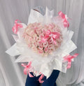 Blush Pink Rose Perfection