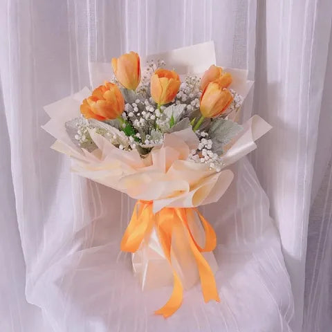 Apricot Tulip Glow