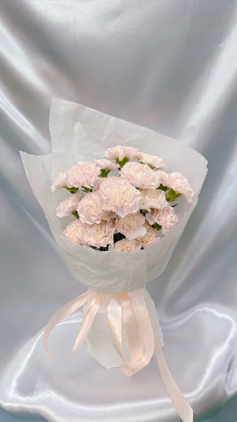 Blush Cloud Carnation Bouquet