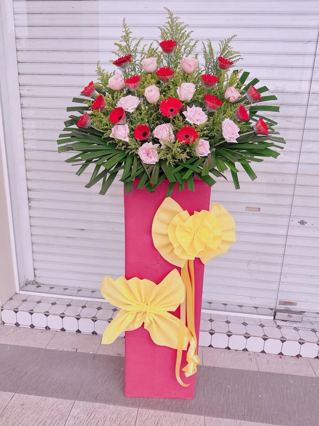 Rosy Prestige Opening Stand