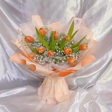 Peach Tulip Delight