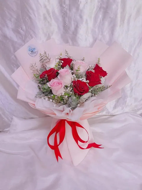 Blush Red Harmony